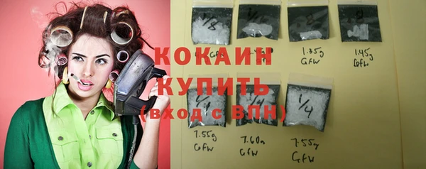 твердый Лиски