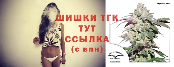 твердый Лиски