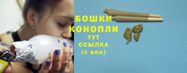твердый Лиски