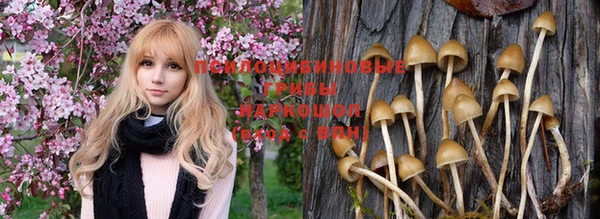экстази Липки