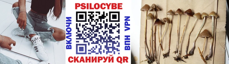 Галлюциногенные грибы GOLDEN TEACHER купить Альметьевск